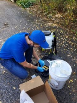 Rat & Mice Extermination in Montgomery Village by Absolute Home and Pest Solutions