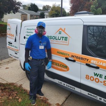 Pest Control by Absolute Home and Pest Solutions